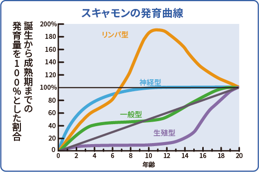 スキャモンの発育曲線